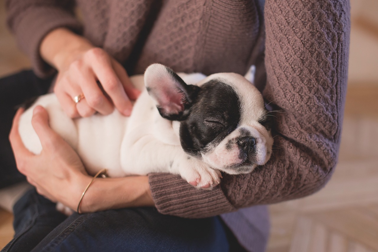 The Importance of Nutrition for Growing Puppies